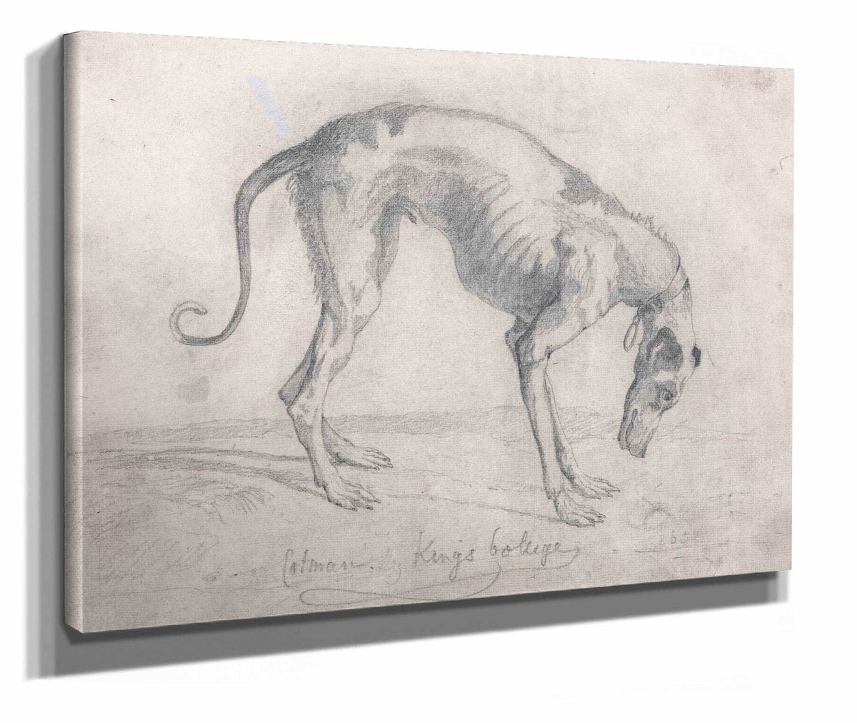 A Starved Greyhound by John Sell Cotman