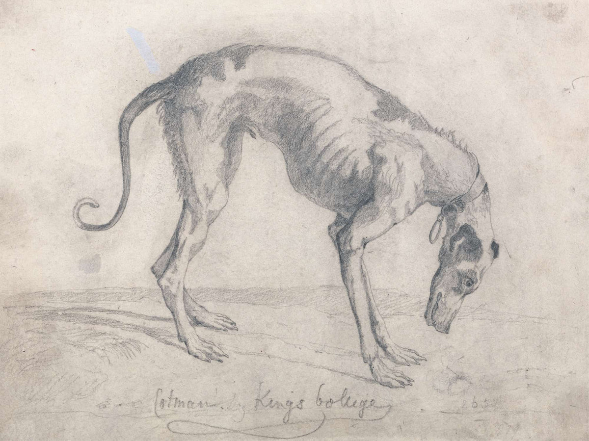 A Starved Greyhound by John Sell Cotman