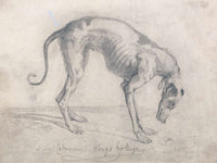 A Starved Greyhound by John Sell Cotman