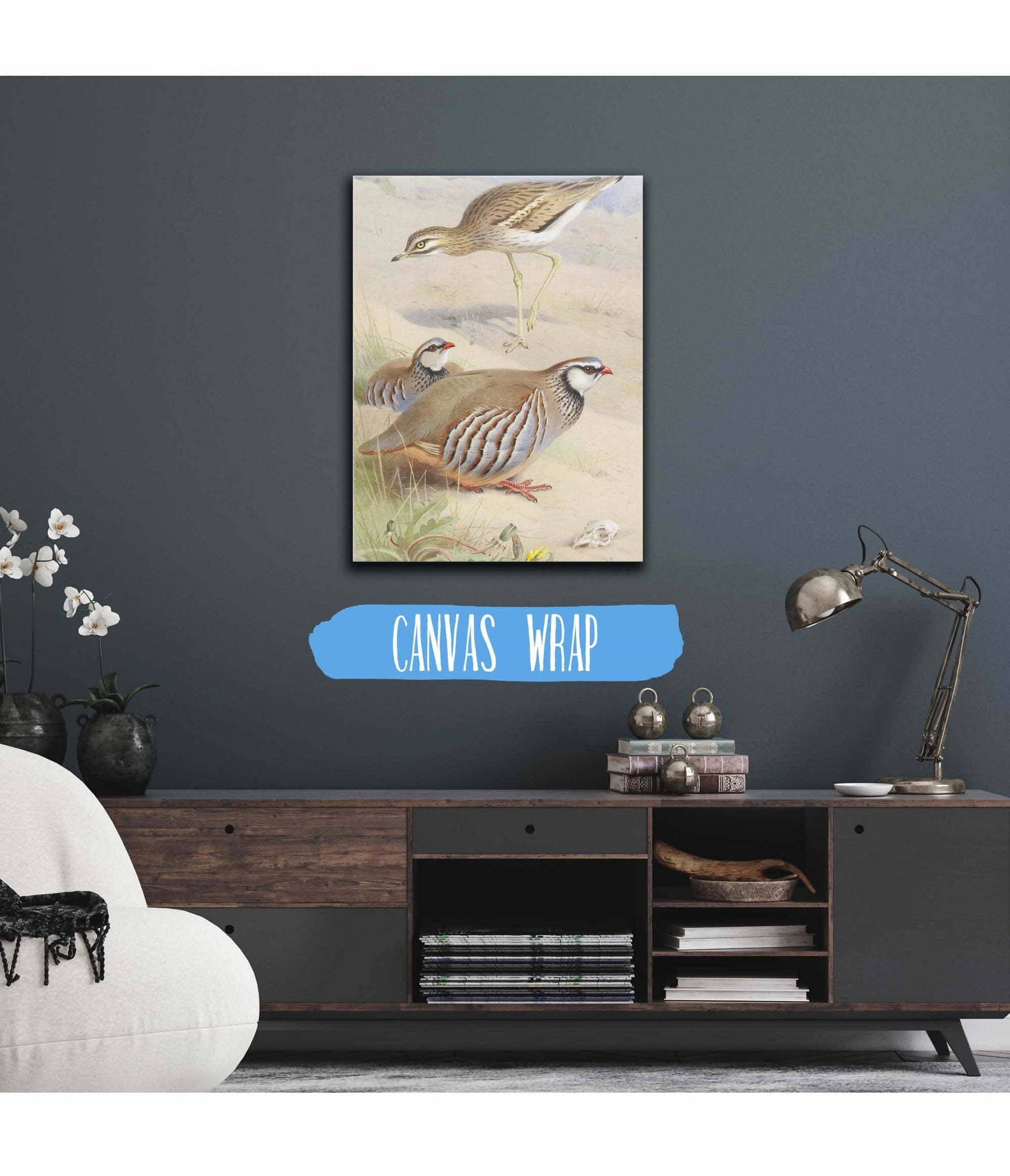 A Stone Curlew And A Pair Of French Partridge by Archibald Thorburn