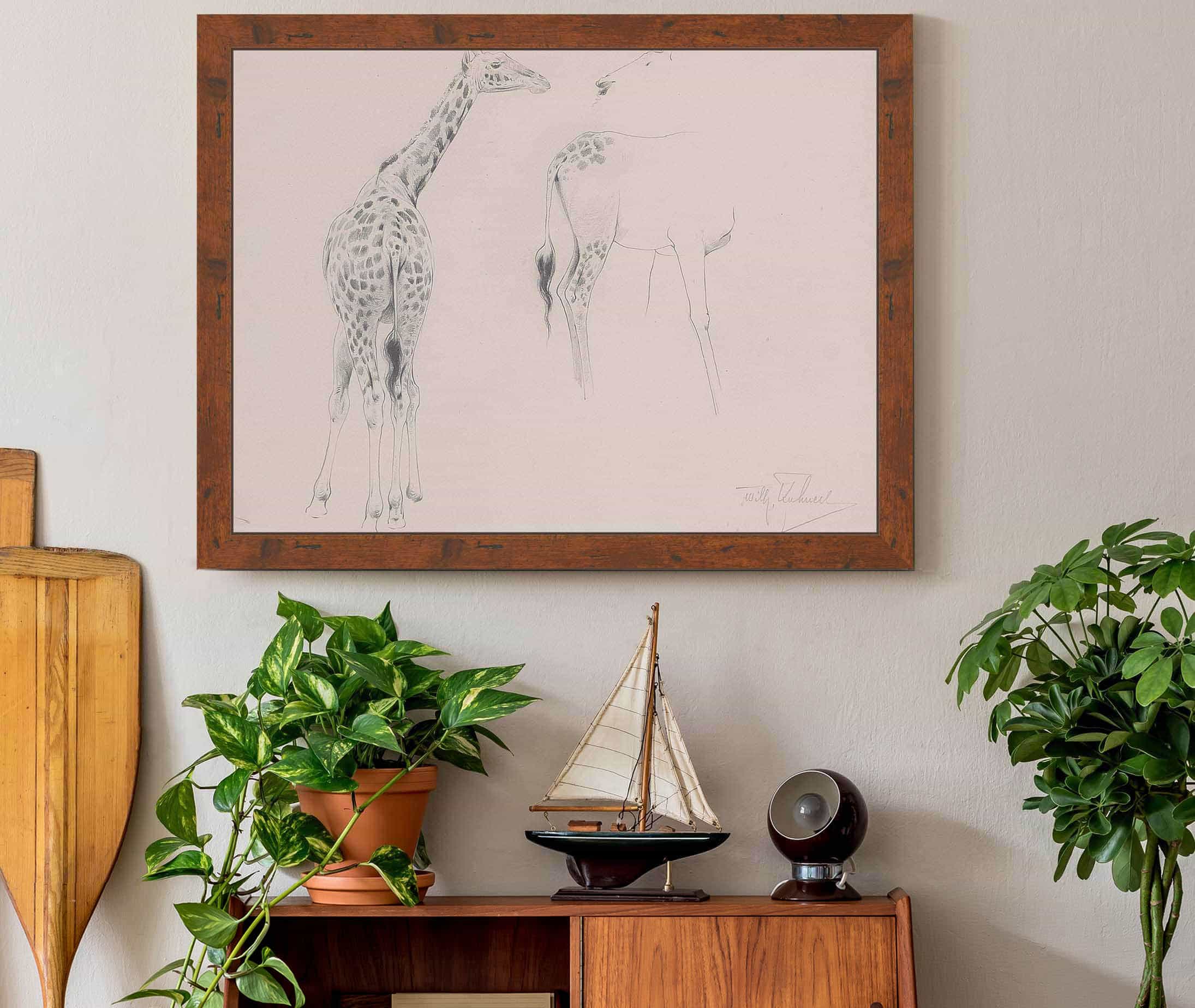A Study Of Two Giraffes by Wilhelm Kuhnert