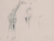 A Study Of Two Giraffes by Wilhelm Kuhnert