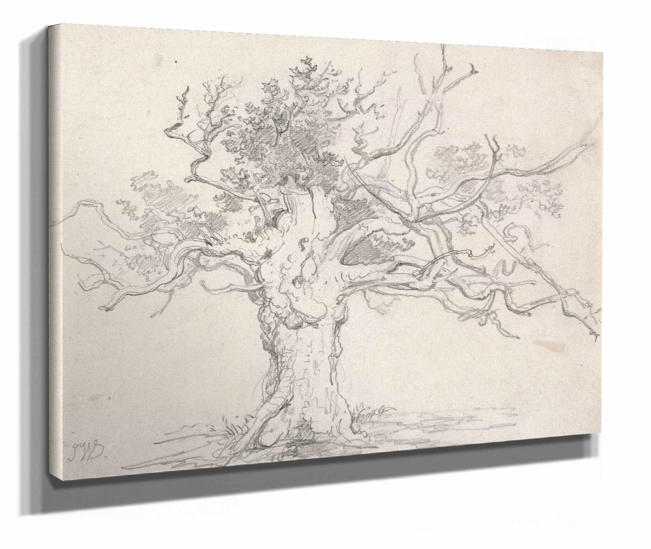 A Stunted Oak by James Ward