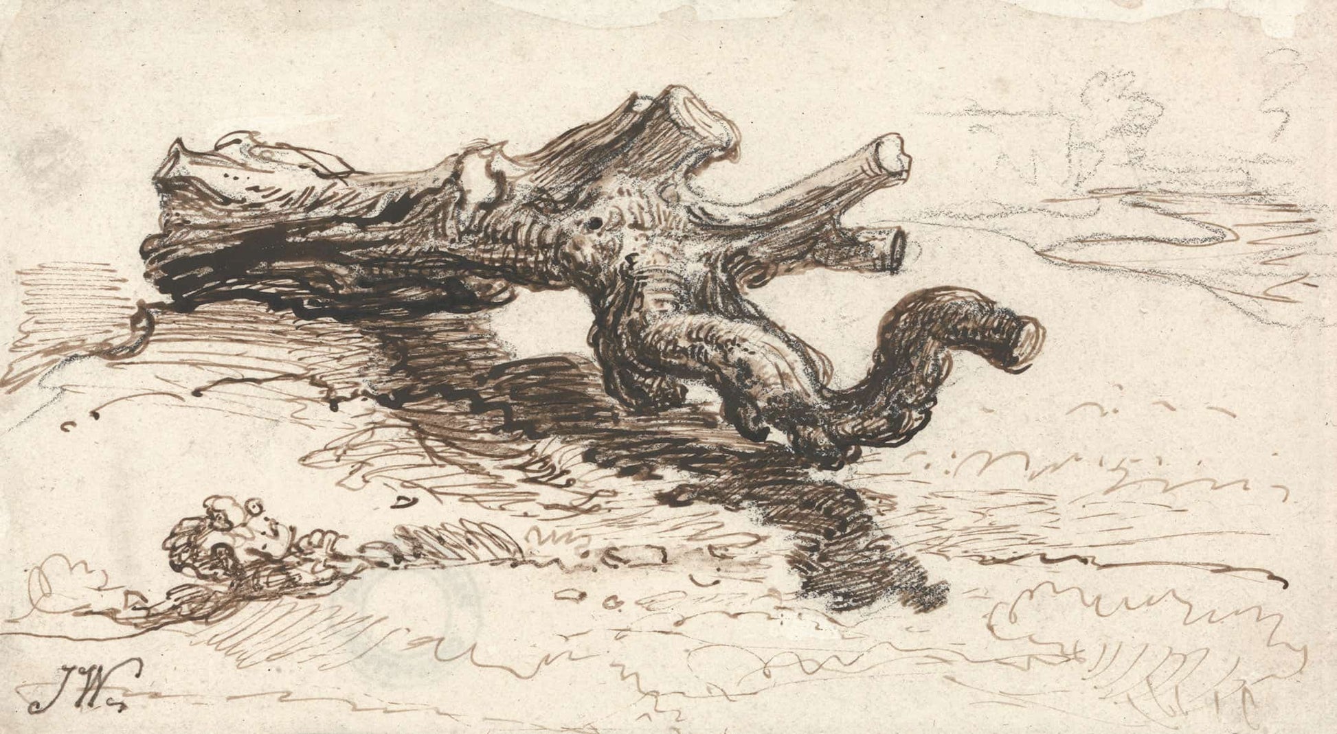 A Tree Trunk On The Ground by James Ward