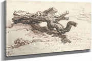 A Tree Trunk On The Ground by James Ward