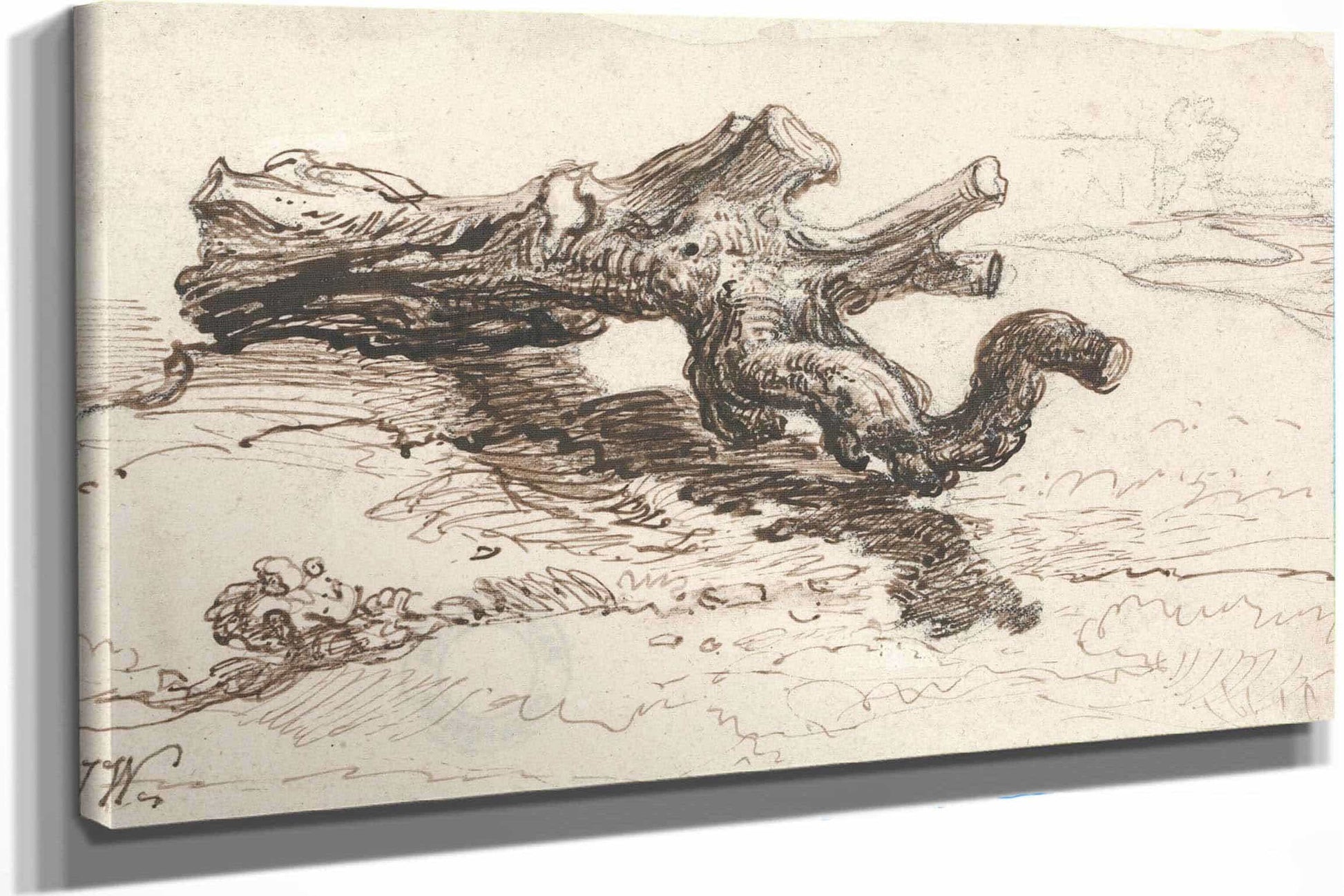 A Tree Trunk On The Ground by James Ward
