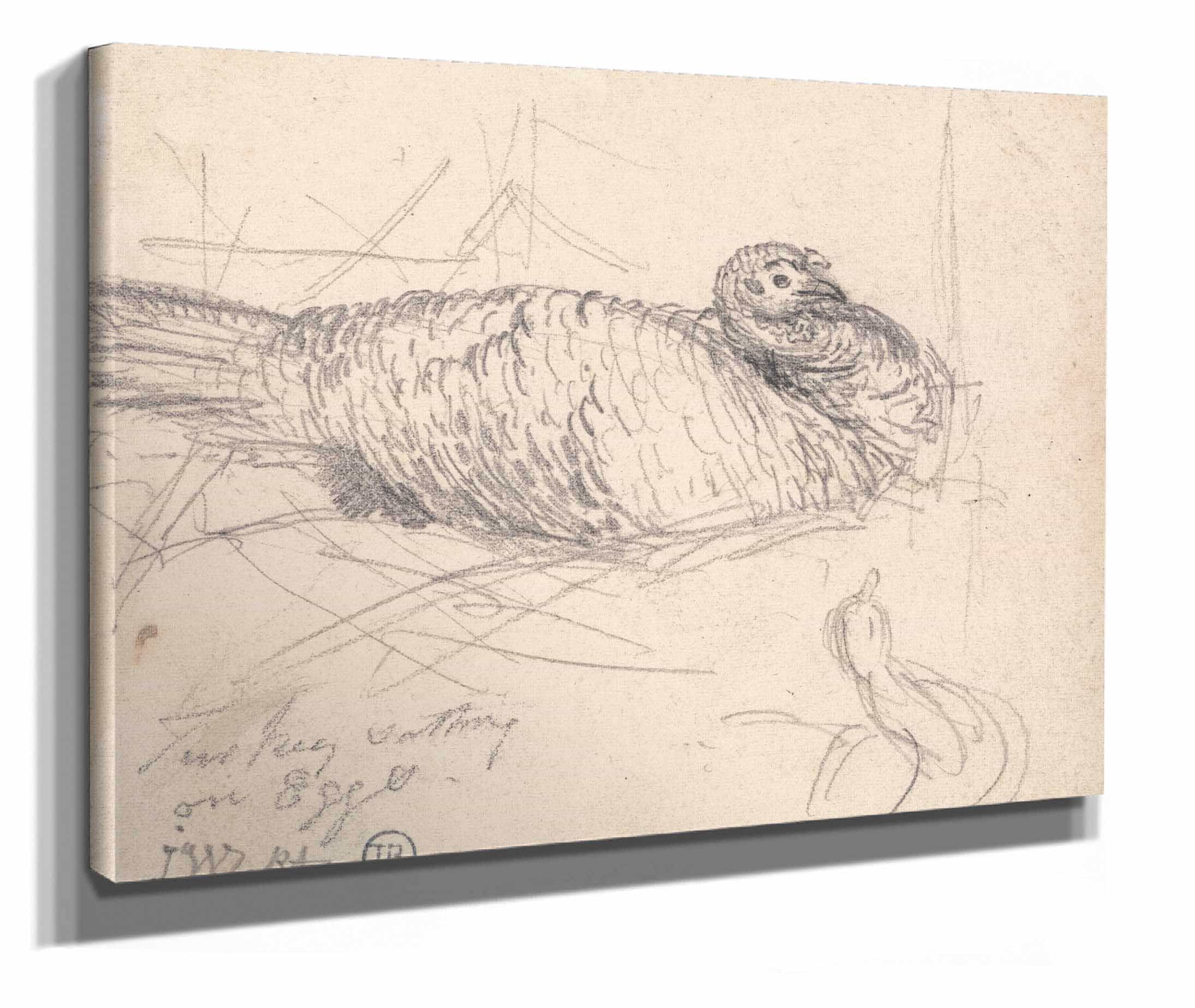 A Turkey Sitting On Eggs by James Ward