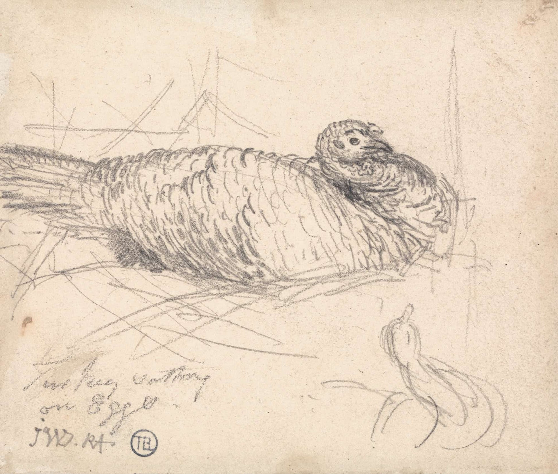 A Turkey Sitting On Eggs by James Ward