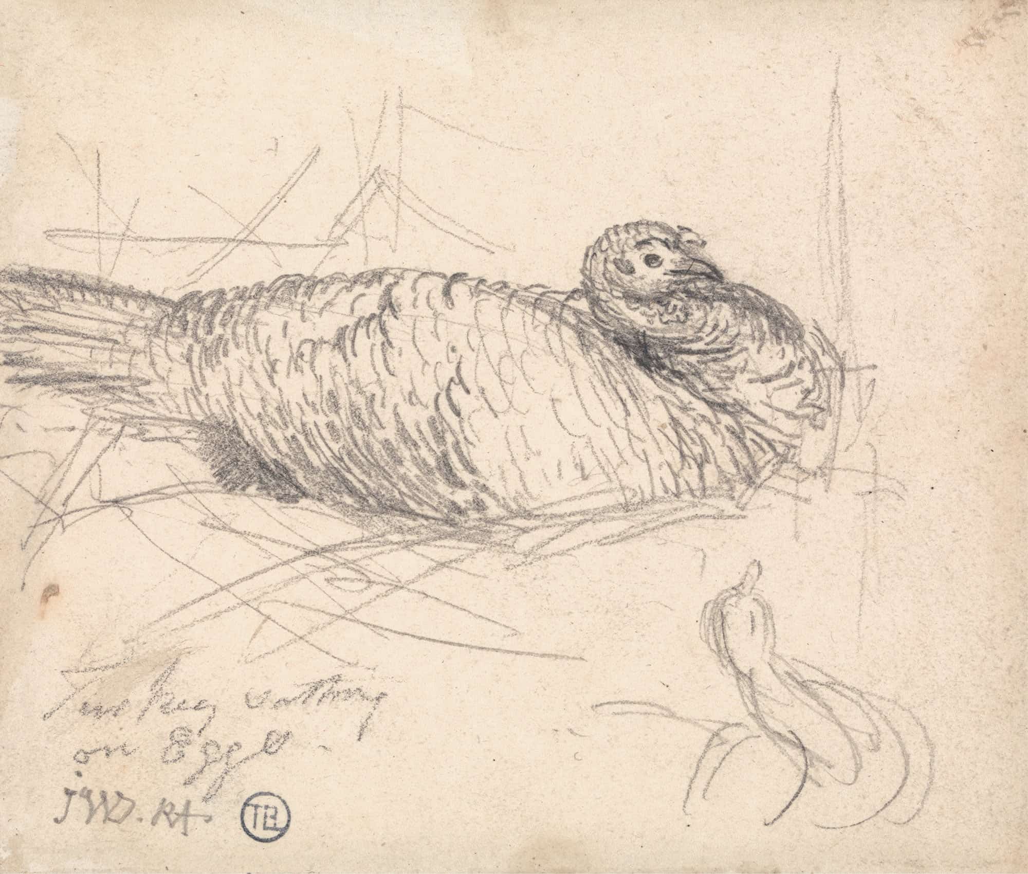 A Turkey Sitting On Eggs by James Ward