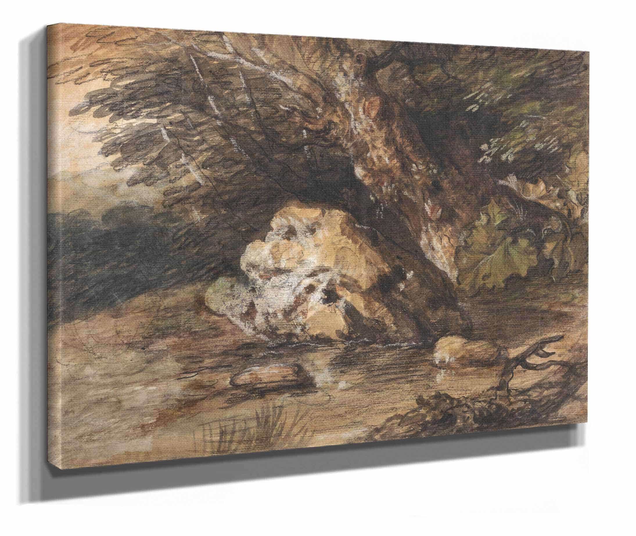 A Woodland Pool With Rocks And Plants by Thomas Gainsborough