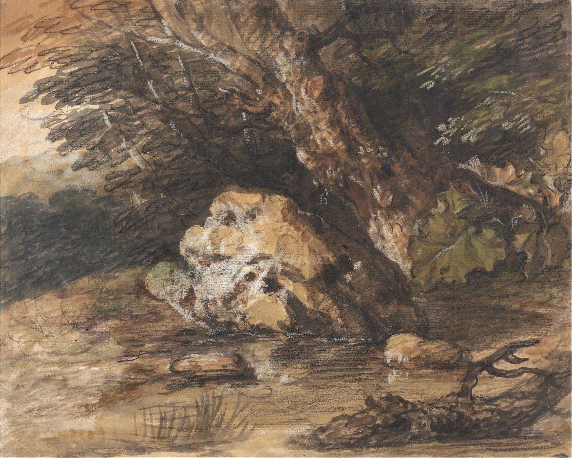 A Woodland Pool With Rocks And Plants by Thomas Gainsborough