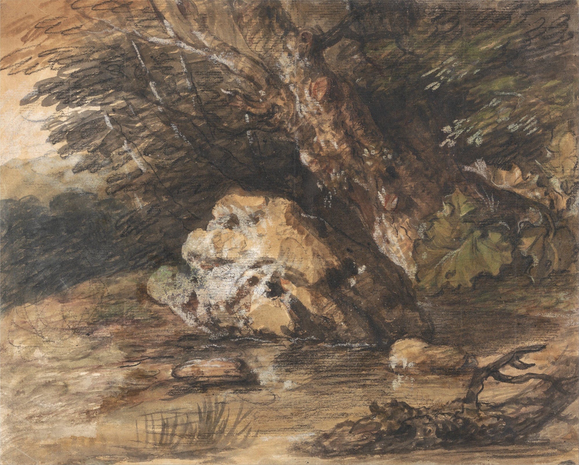 A Woodland Pool With Rocks And Plants by Thomas Gainsborough
