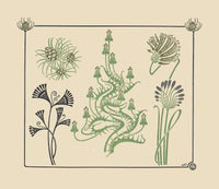 Abstract Design Based On Flowers And Pinecones by Maurice Pillard Verneuil