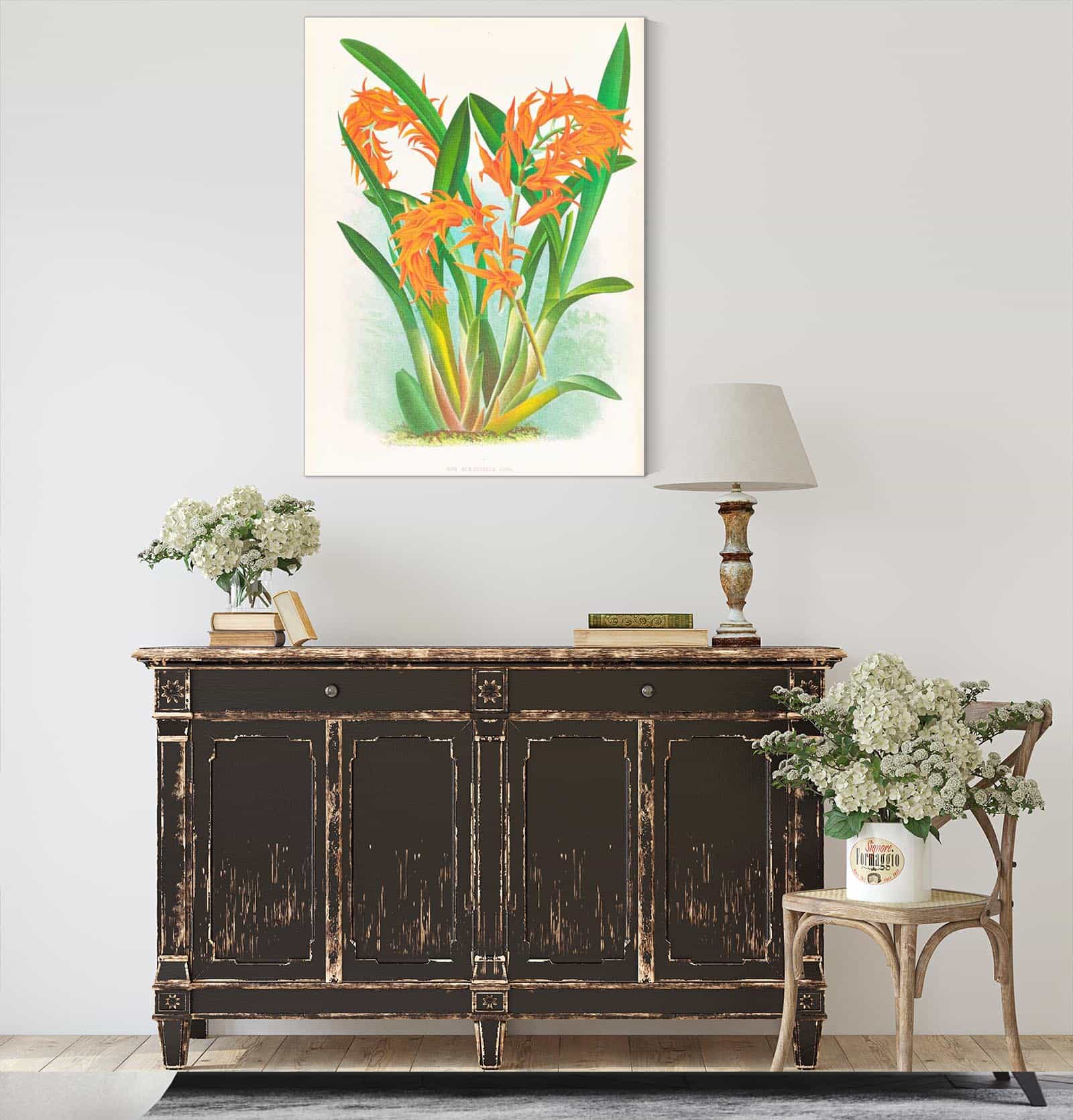 Ada Aurantiaca by Jean Jules Linden