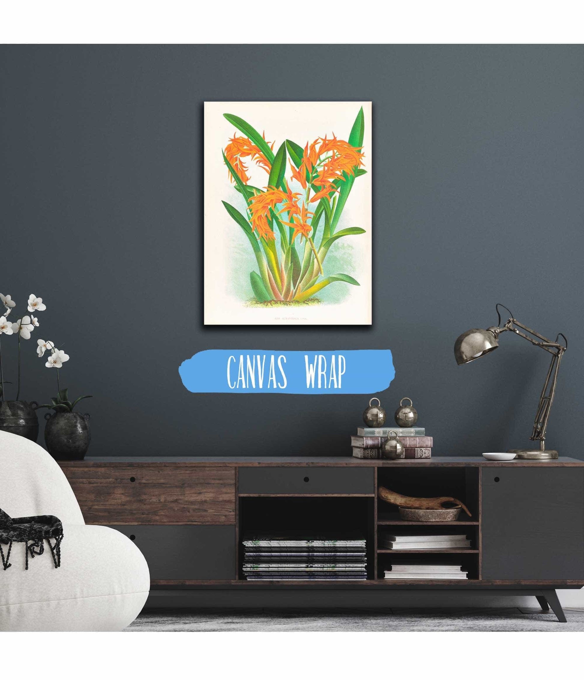 Ada Aurantiaca by Jean Jules Linden