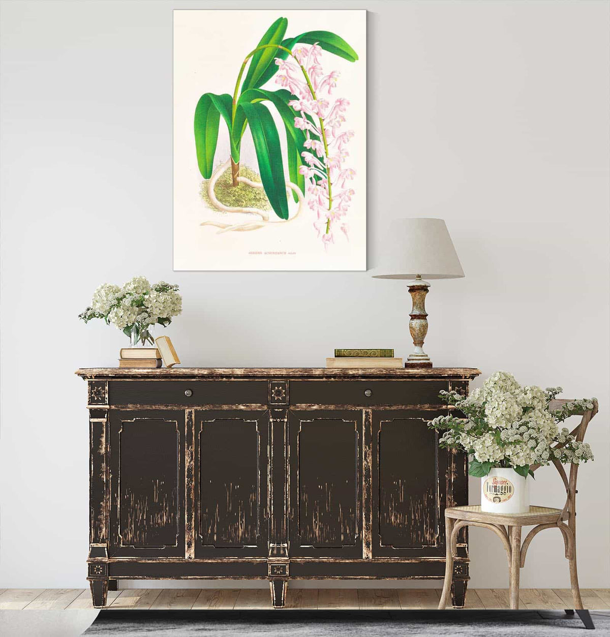 Aerides Augustianum by Jean Jules Linden