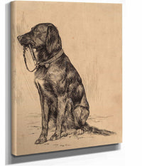Aldrichs Dog Late S by Arthur Bowen Davies