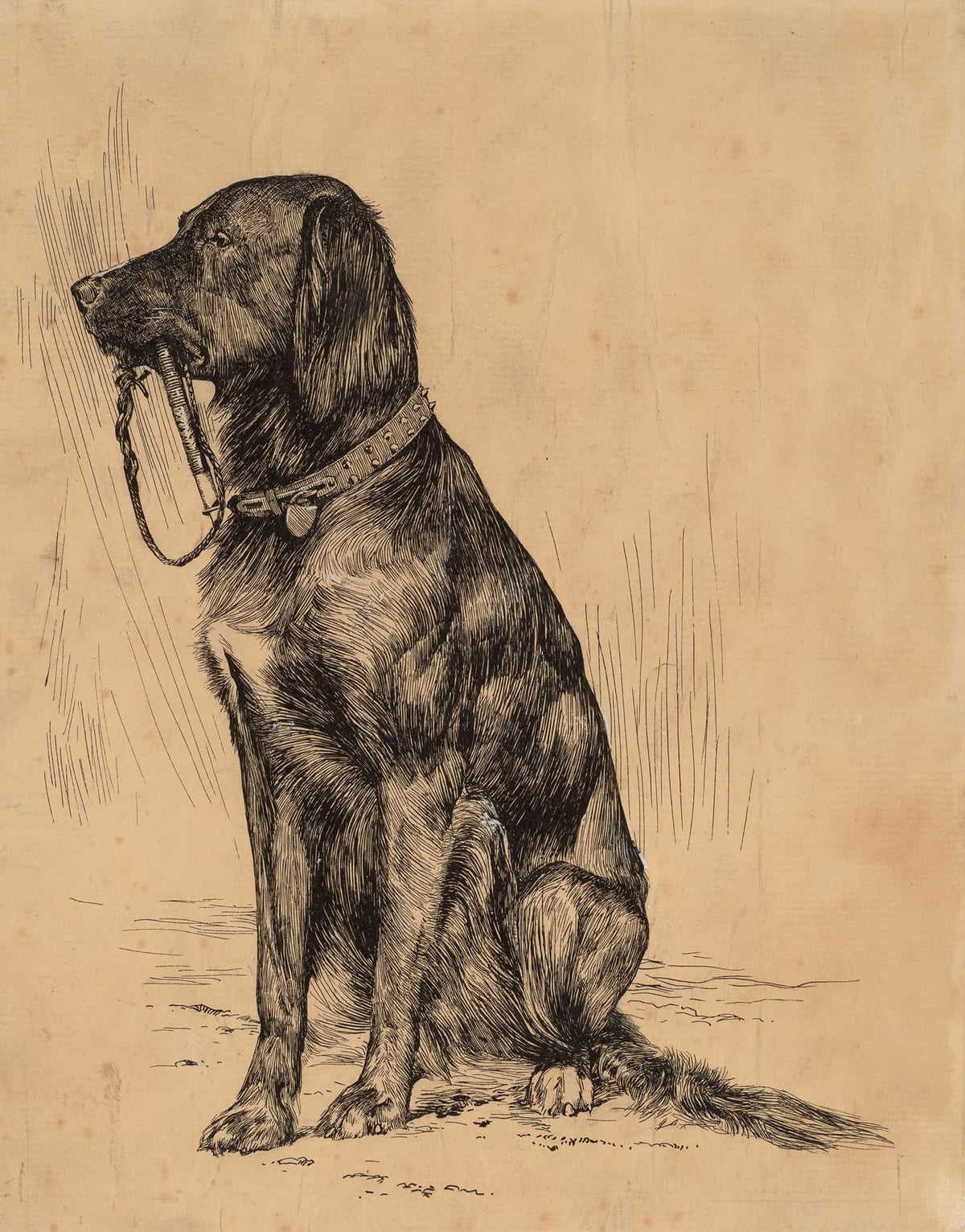 Aldrichs Dog Late S by Arthur Bowen Davies