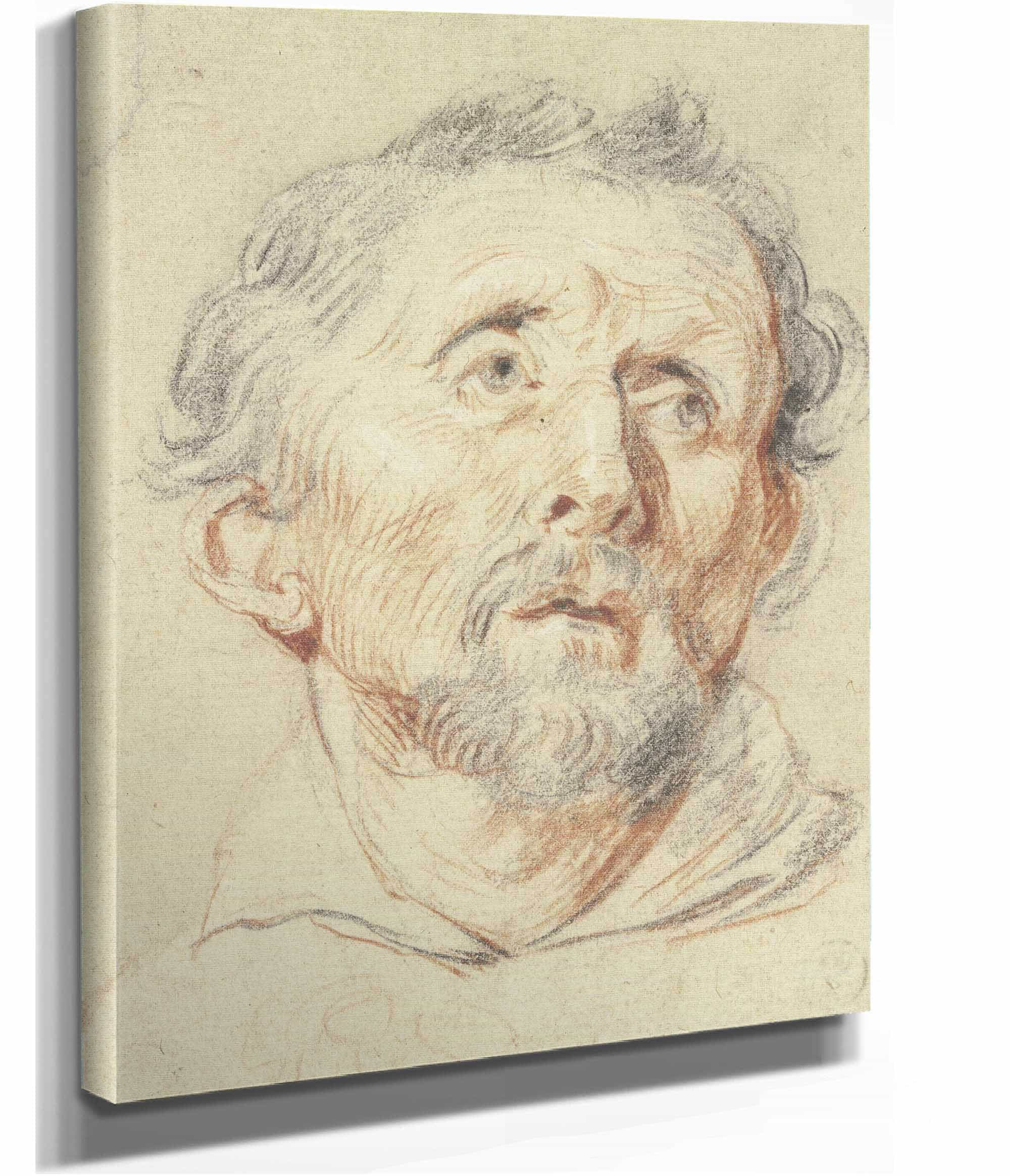 Alter Mann Von Vorne In Die Hohe Blickend by Jacob Jordaens