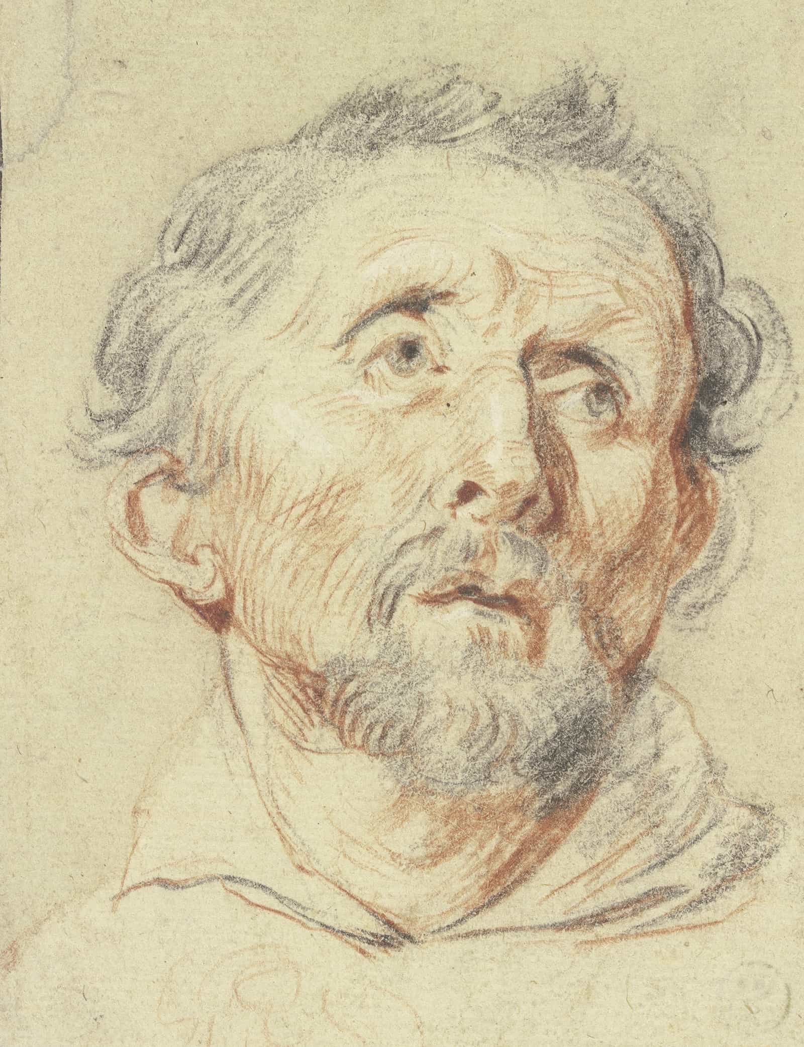 Alter Mann Von Vorne In Die Hohe Blickend by Jacob Jordaens