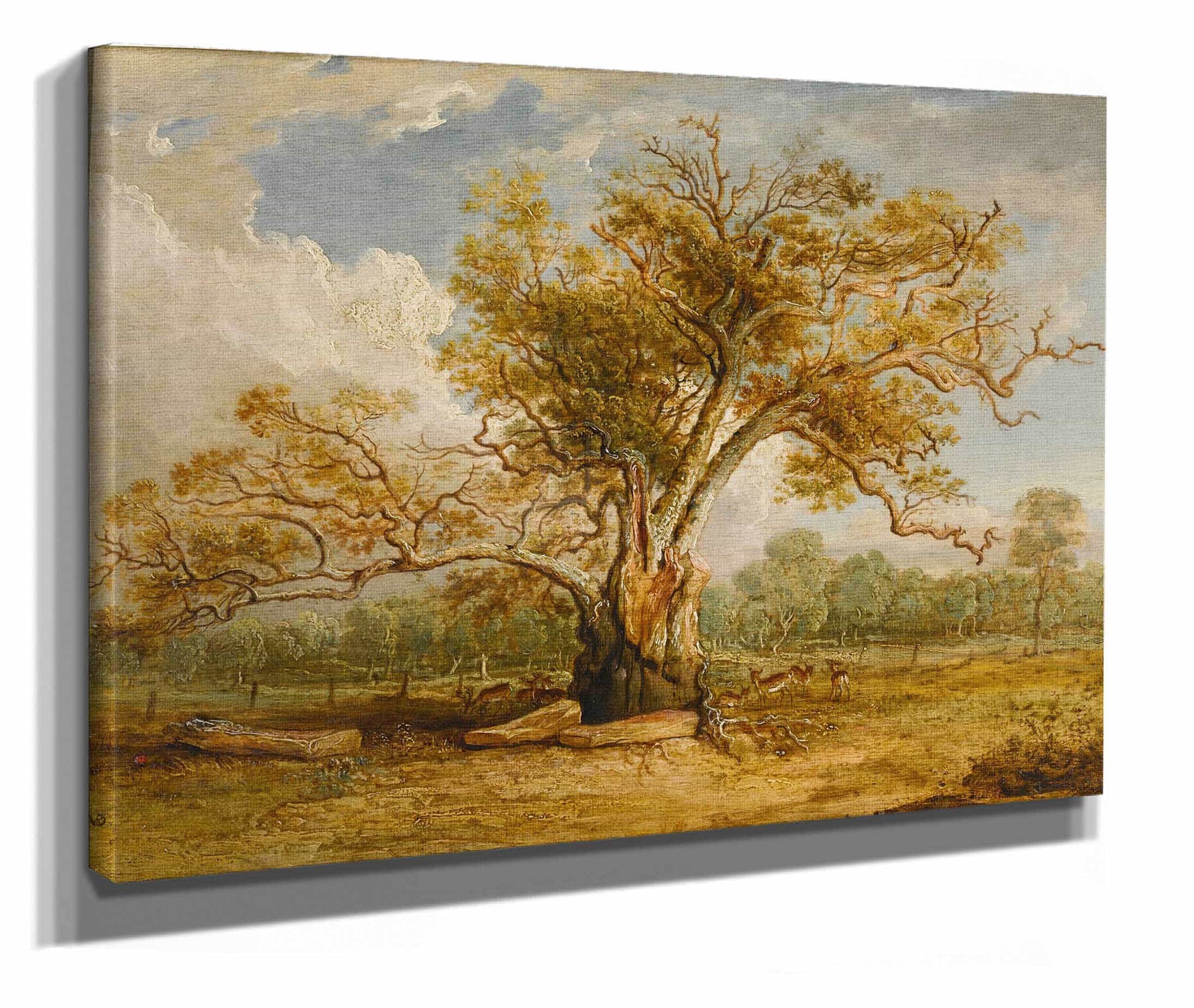 An Oak Tree In Richmond Park With A Herd Of Fallow Deer Beside It by James Ward