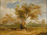 An Oak Tree In Richmond Park With A Herd Of Fallow Deer Beside It by James Ward