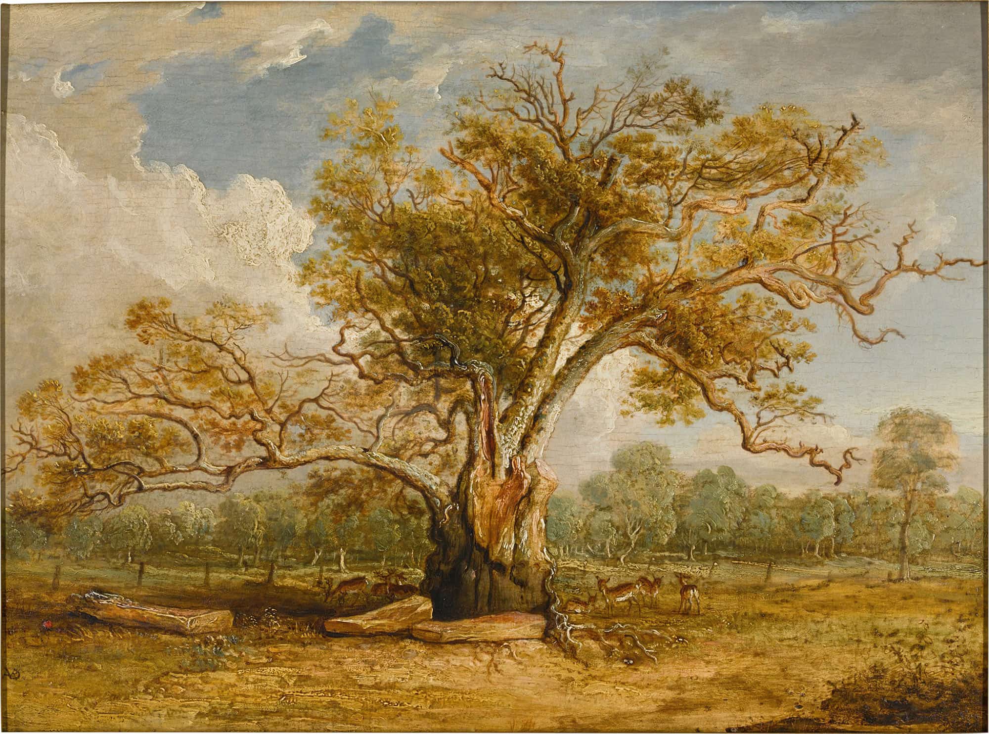 An Oak Tree In Richmond Park With A Herd Of Fallow Deer Beside It by James Ward