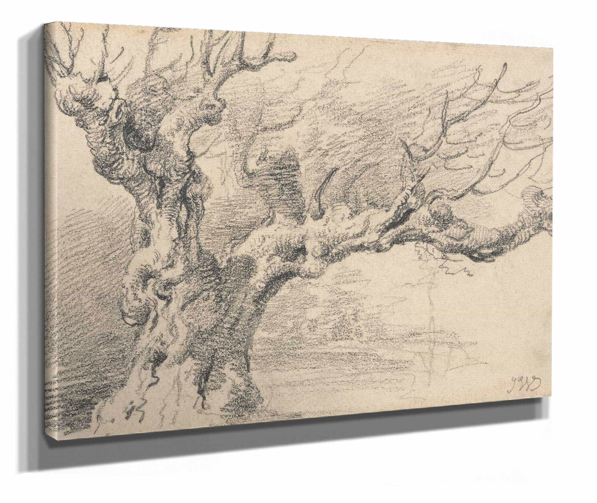 An Old Oak Tree by James Ward