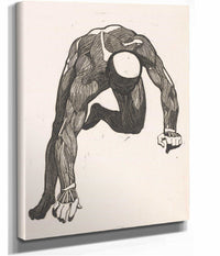 Anatomical Study Of The Neck Arm And Leg Muscles Of A Man Reijer Stolk  by Reijer Stolk