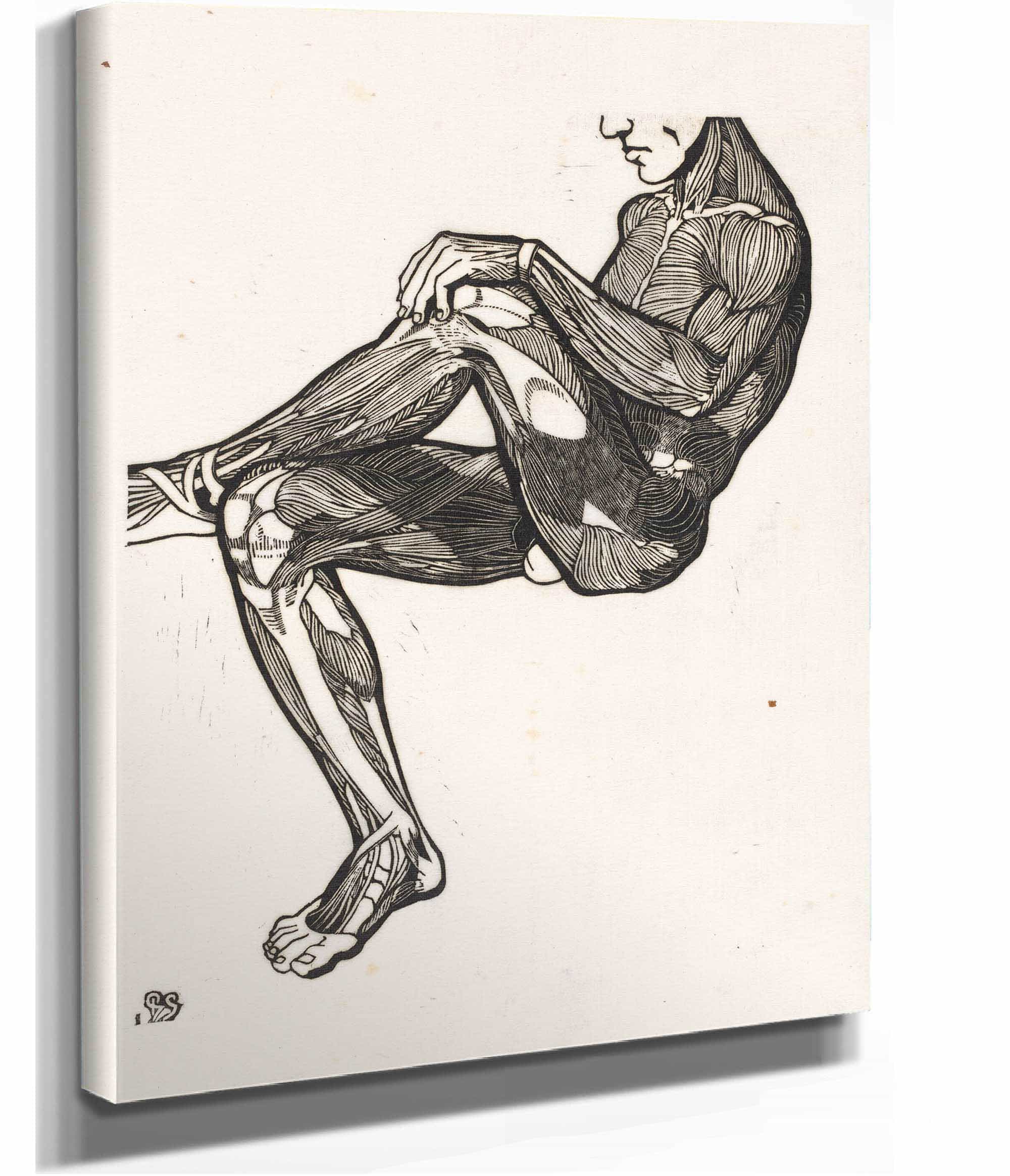 Anatomische Studie Van De Been En Armspieren Van Een Man by Reijer Stolk