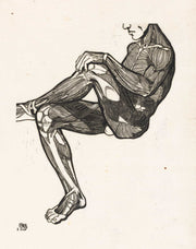 Anatomische Studie Van De Been En Armspieren Van Een Man by Reijer Stolk