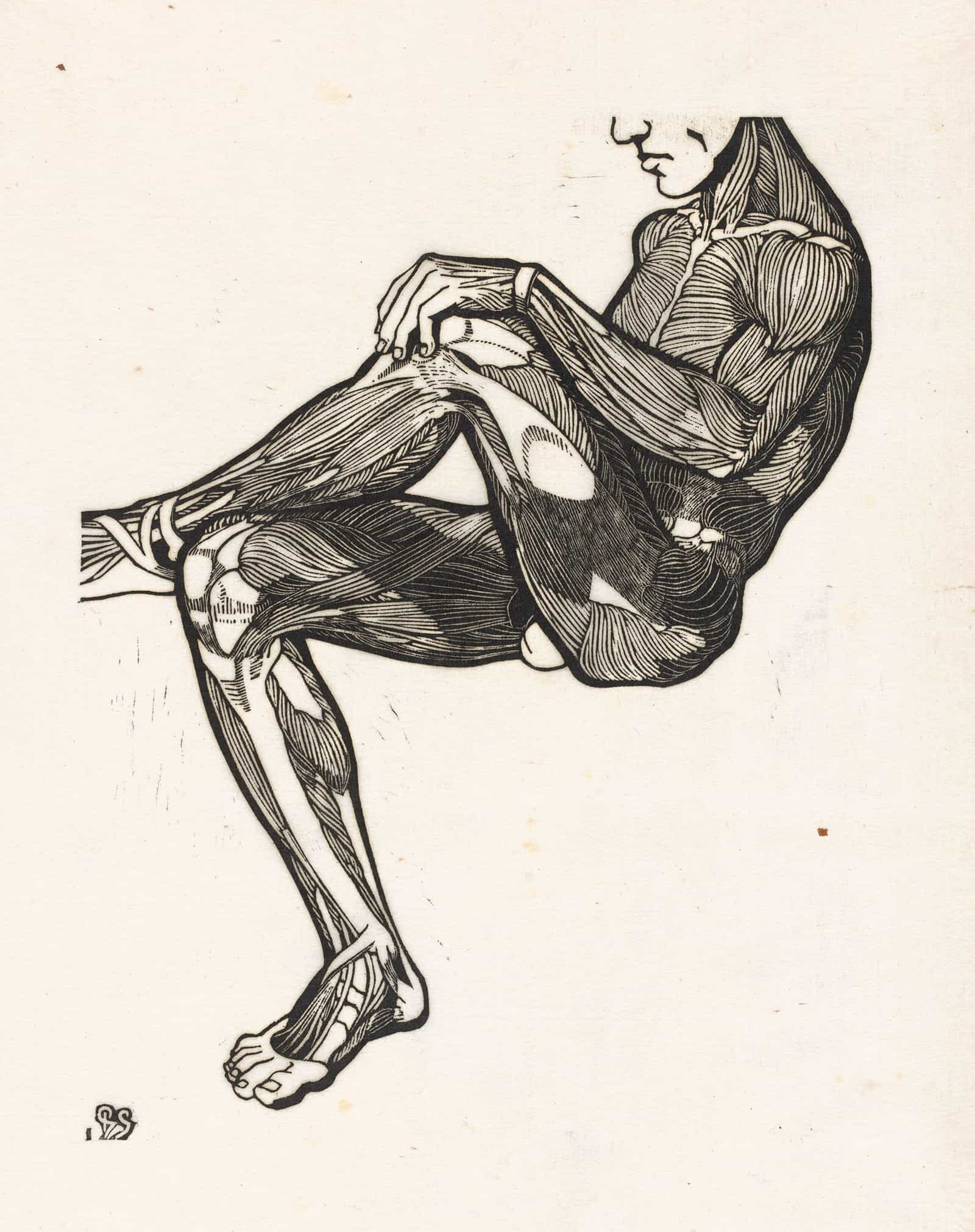 Anatomische Studie Van De Been En Armspieren Van Een Man by Reijer Stolk