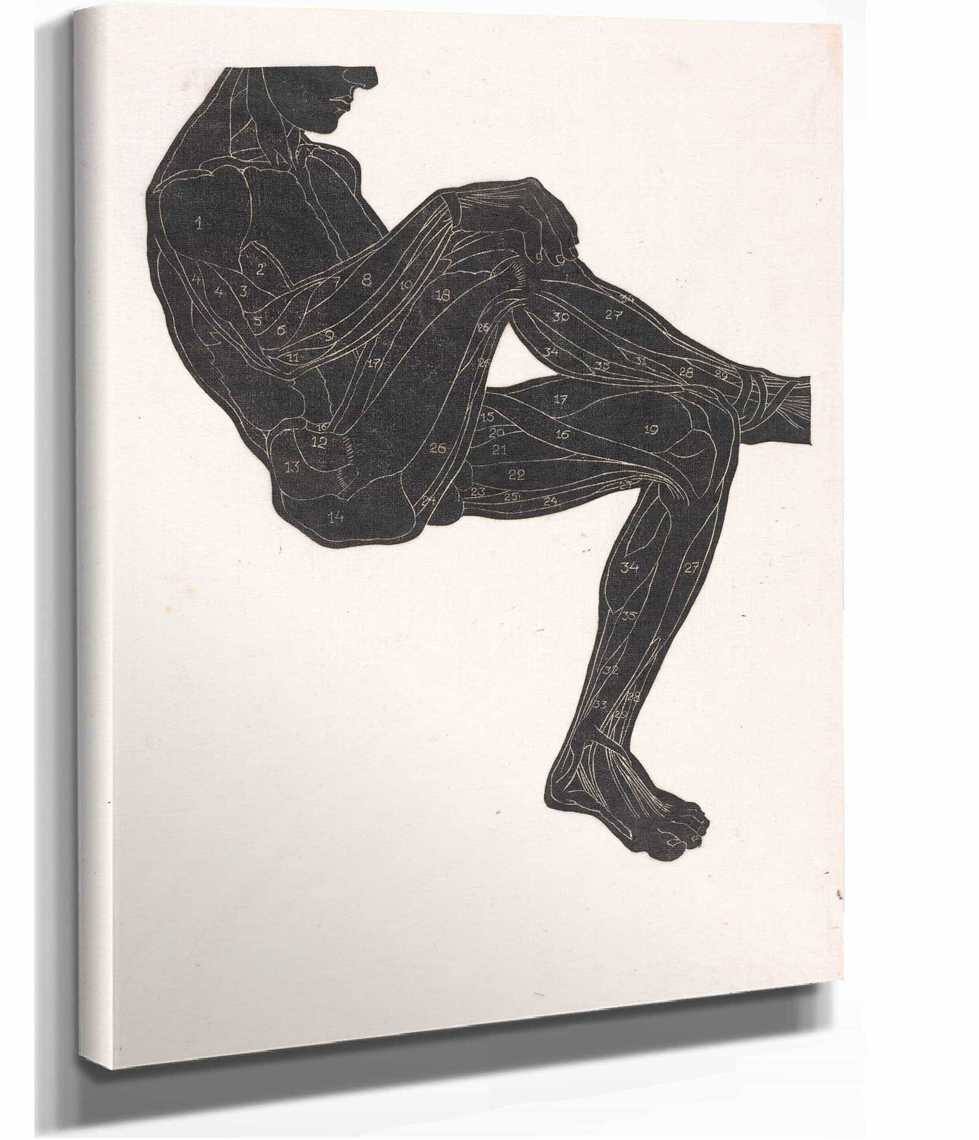 Anatomische Studie Van De Been En Armspieren Van Een Man In Silhouet by Reijer Stolk