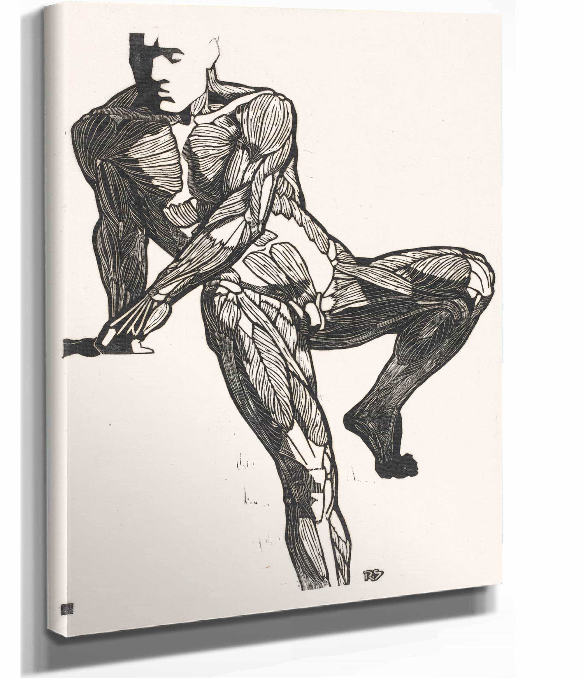 Anatomische Studie Van De Borst Buik En Beenspieren Van Een Man by Reijer Stolk