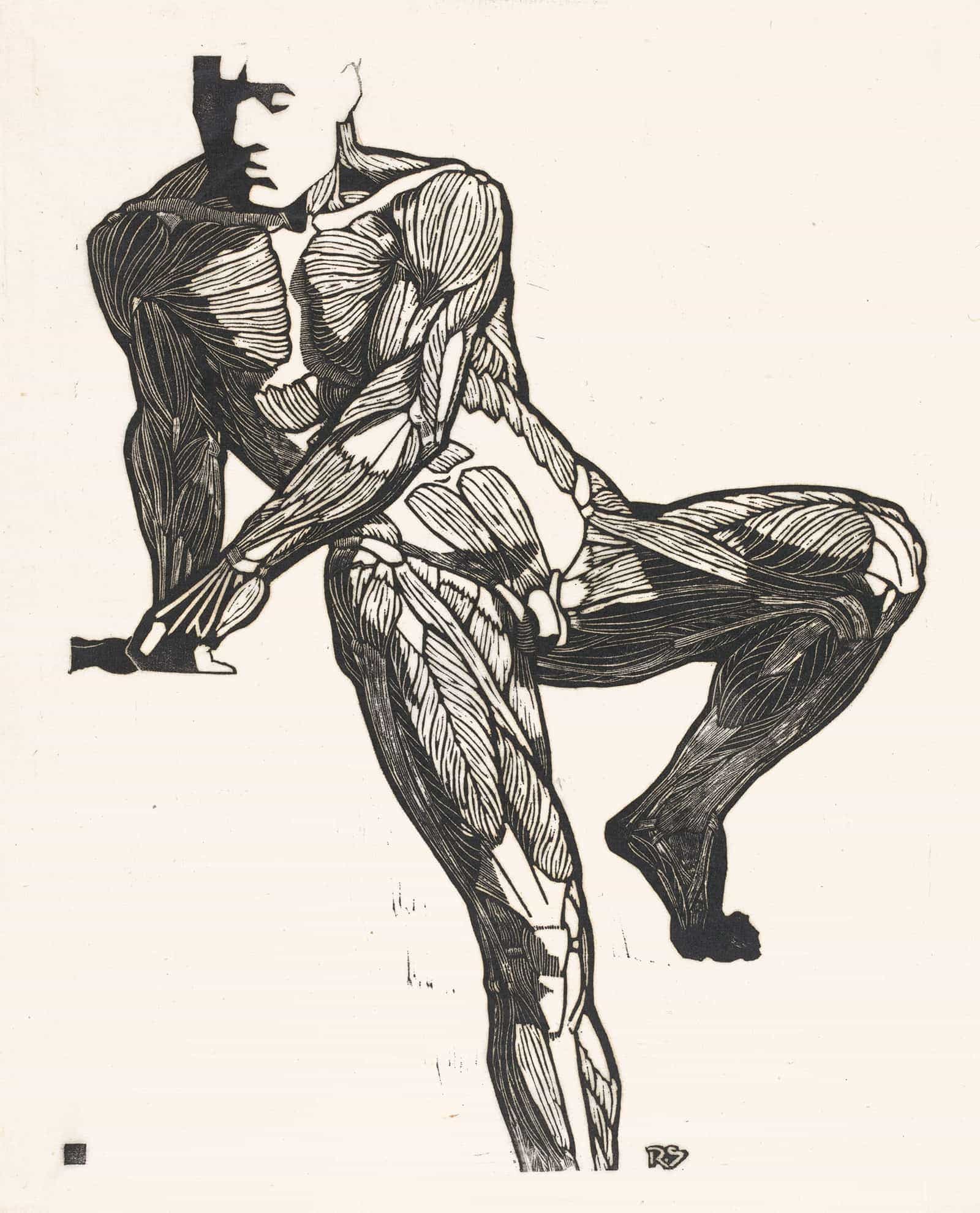 Anatomische Studie Van De Borst Buik En Beenspieren Van Een Man by Reijer Stolk