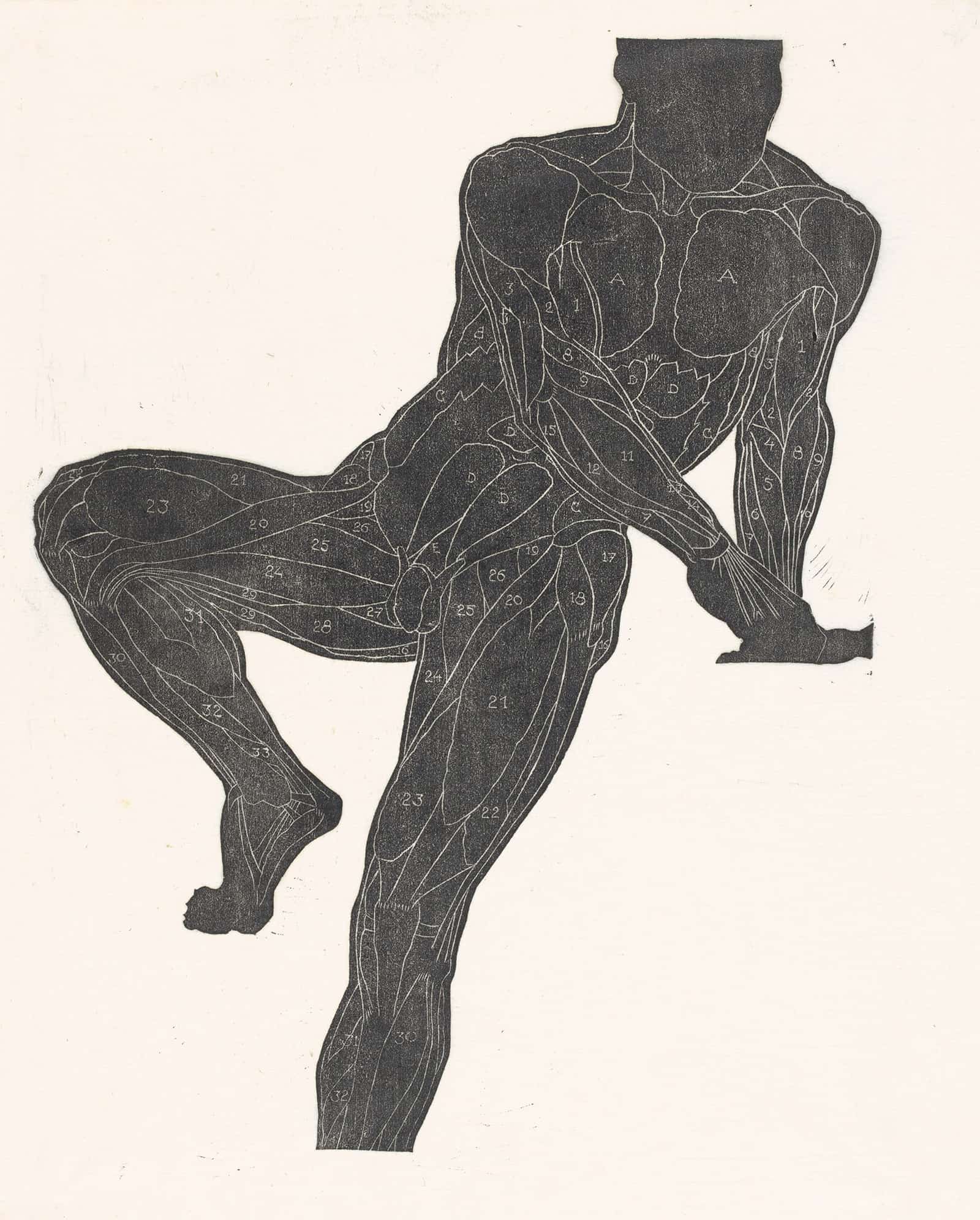 Anatomische Studie Van De Borst Buik En Beenspieren Van Een Man In Silhouet by Reijer Stolk