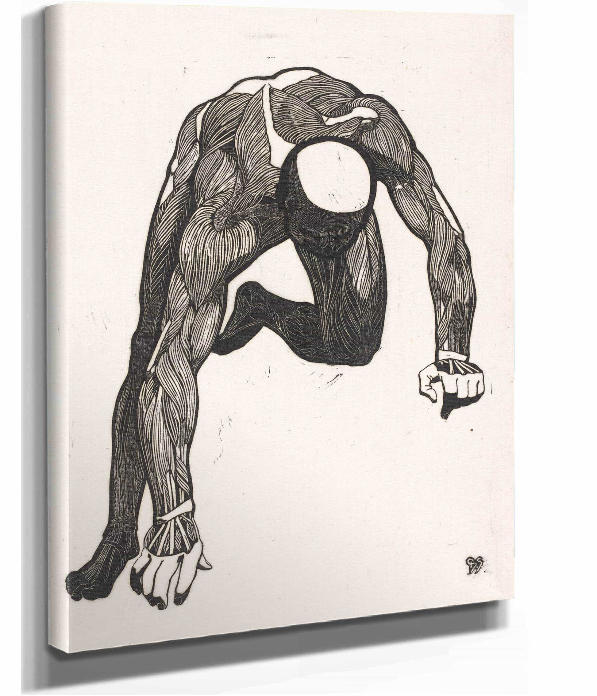 Anatomische Studie Van De Hals Arm En Beenspieren Van Een Man by Reijer Stolk