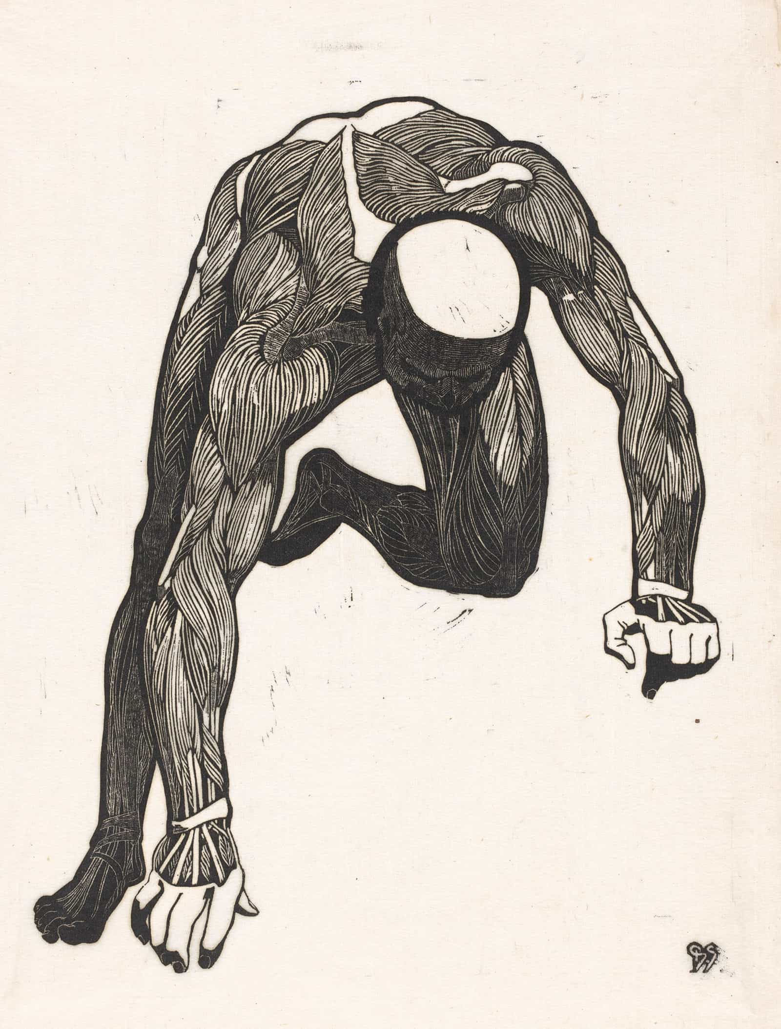 Anatomische Studie Van De Hals Arm En Beenspieren Van Een Man by Reijer Stolk