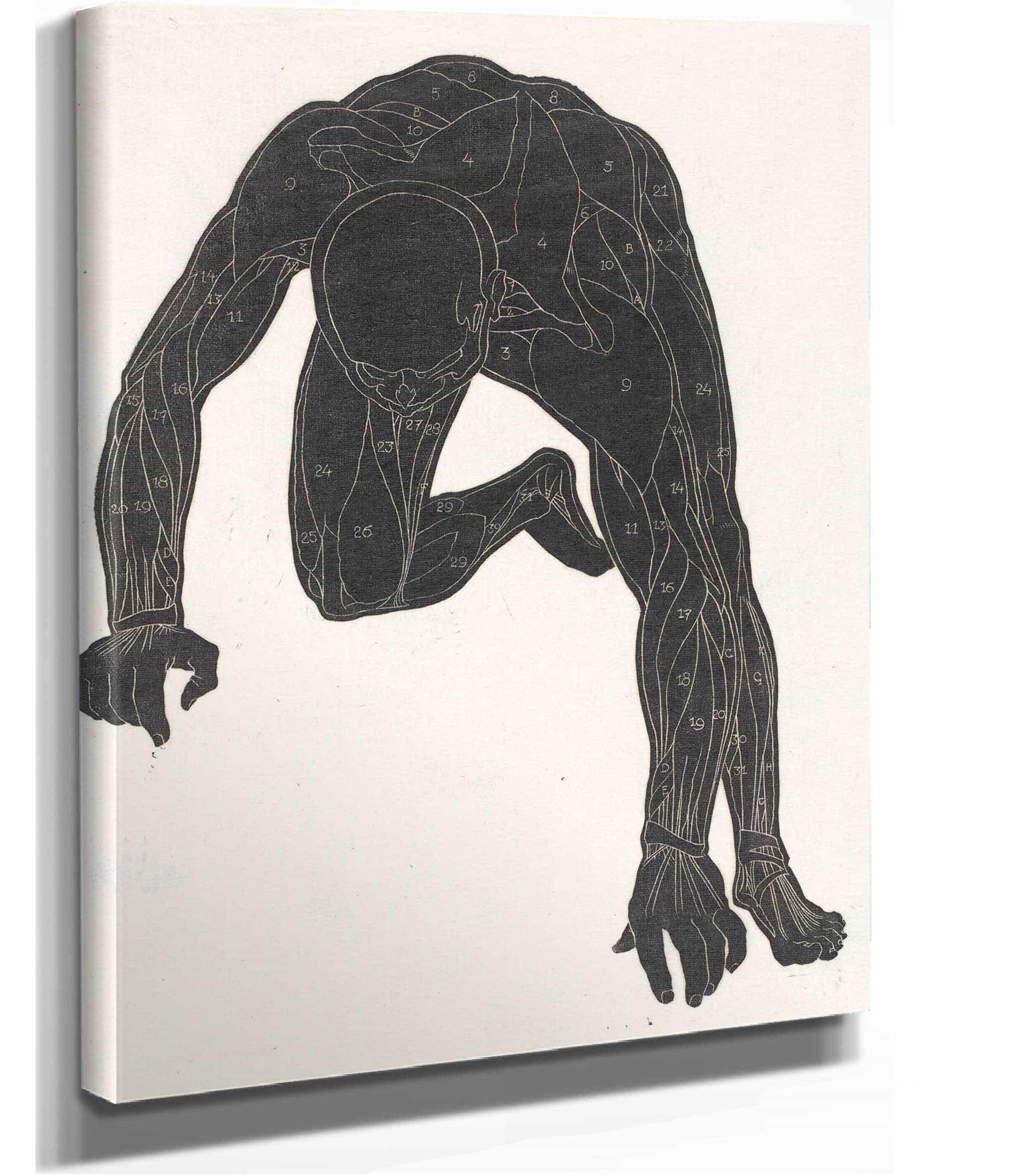 Anatomische Studie Van De Hals Arm En Beenspieren Van Een Man In Silhouet by Reijer Stolk