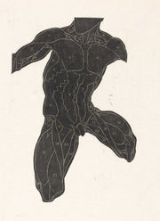 Anatomische Studie Van De Nek Buik En Bovenbeenspieren Van Een Man In Silhouet by Reijer Stolk