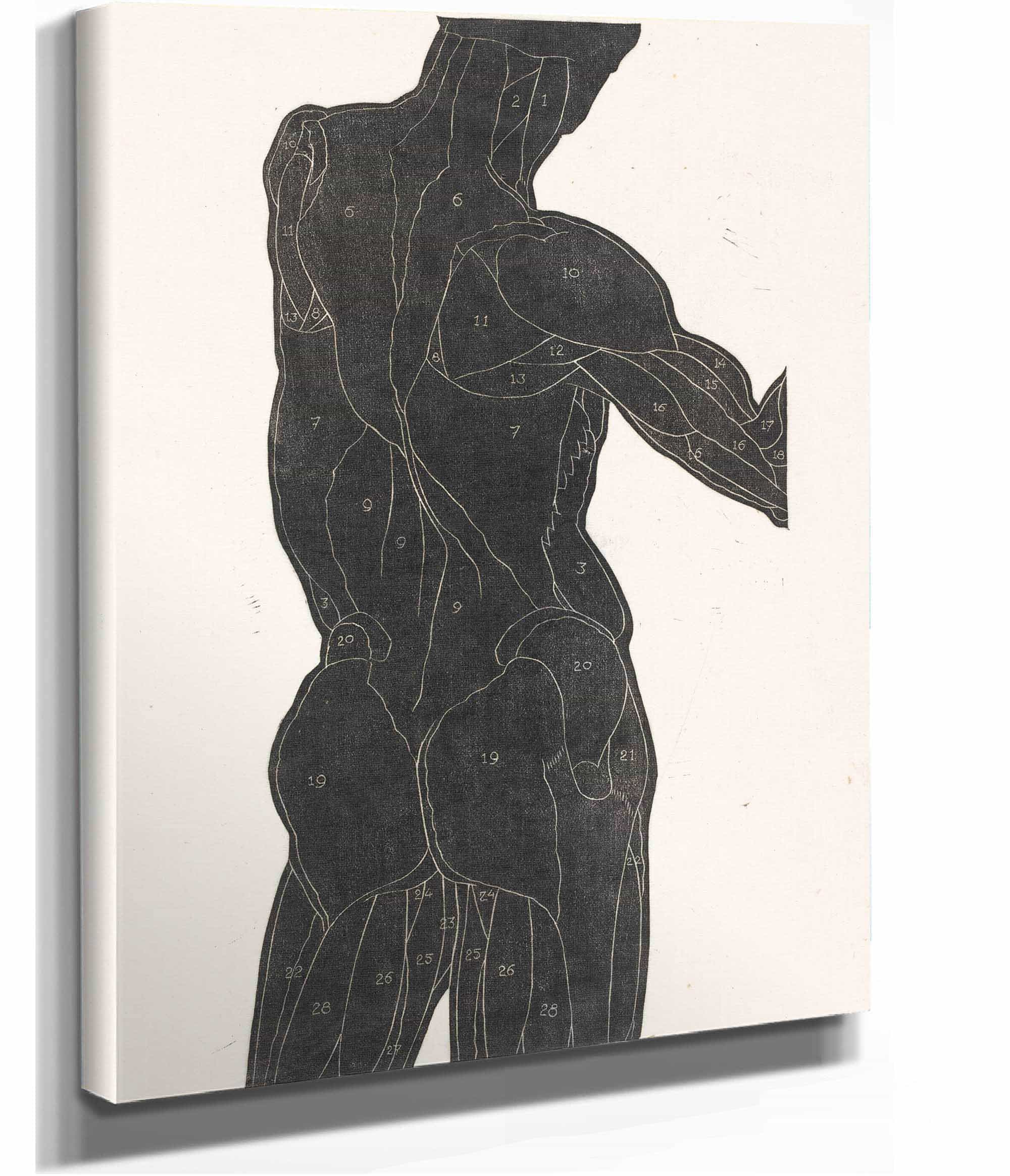 Anatomische Studie Van De Rug En Bilspieren Van Een Man In Silhouet by Reijer Stolk