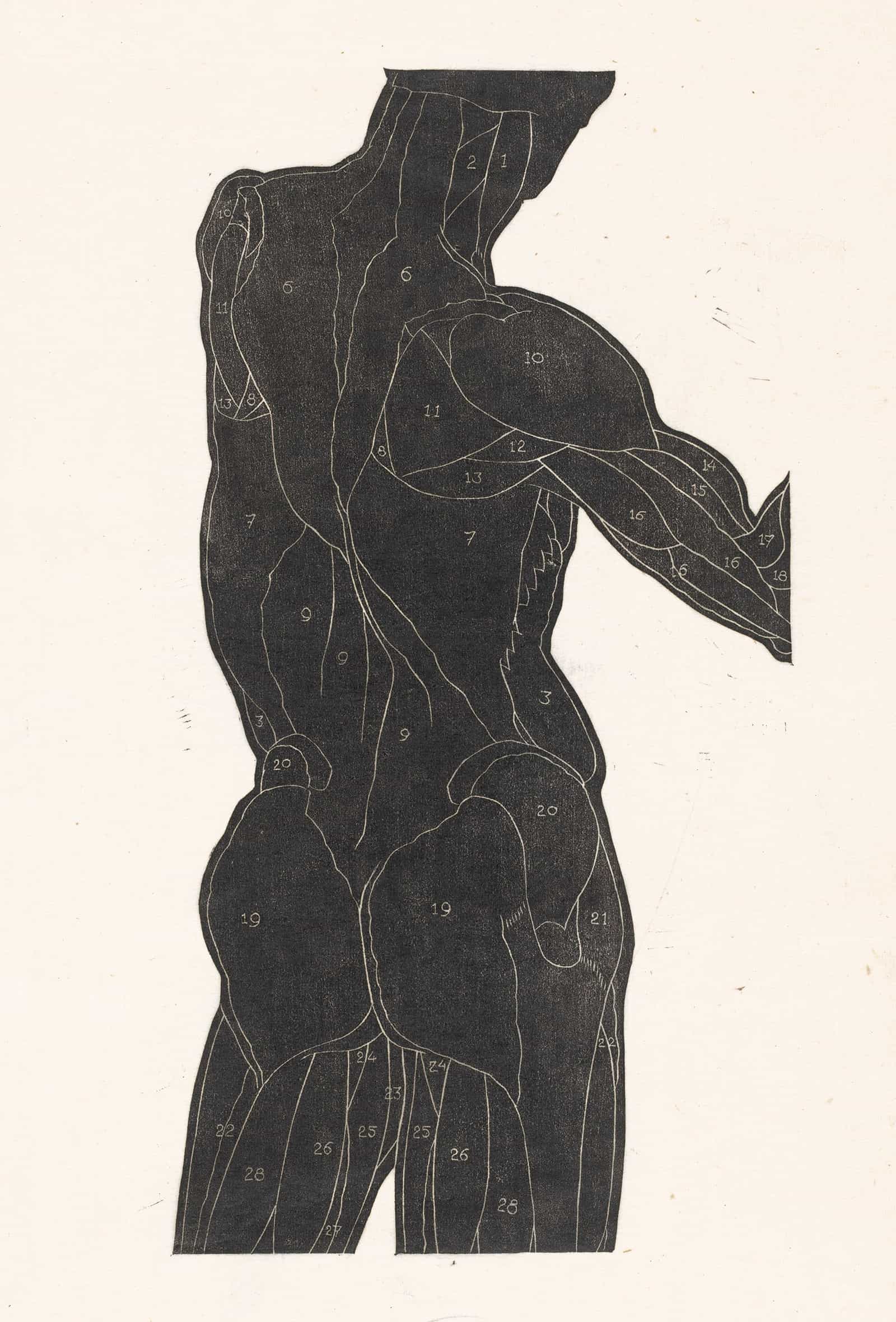 Anatomische Studie Van De Rug En Bilspieren Van Een Man In Silhouet by Reijer Stolk