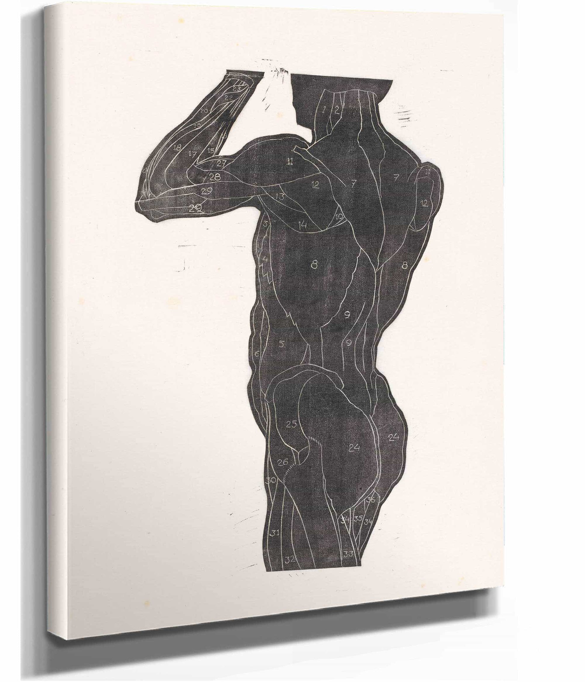 Anatomische Studie Van De Rug En Bilspieren Van Een Man In Silhouet by Reijer Stolk