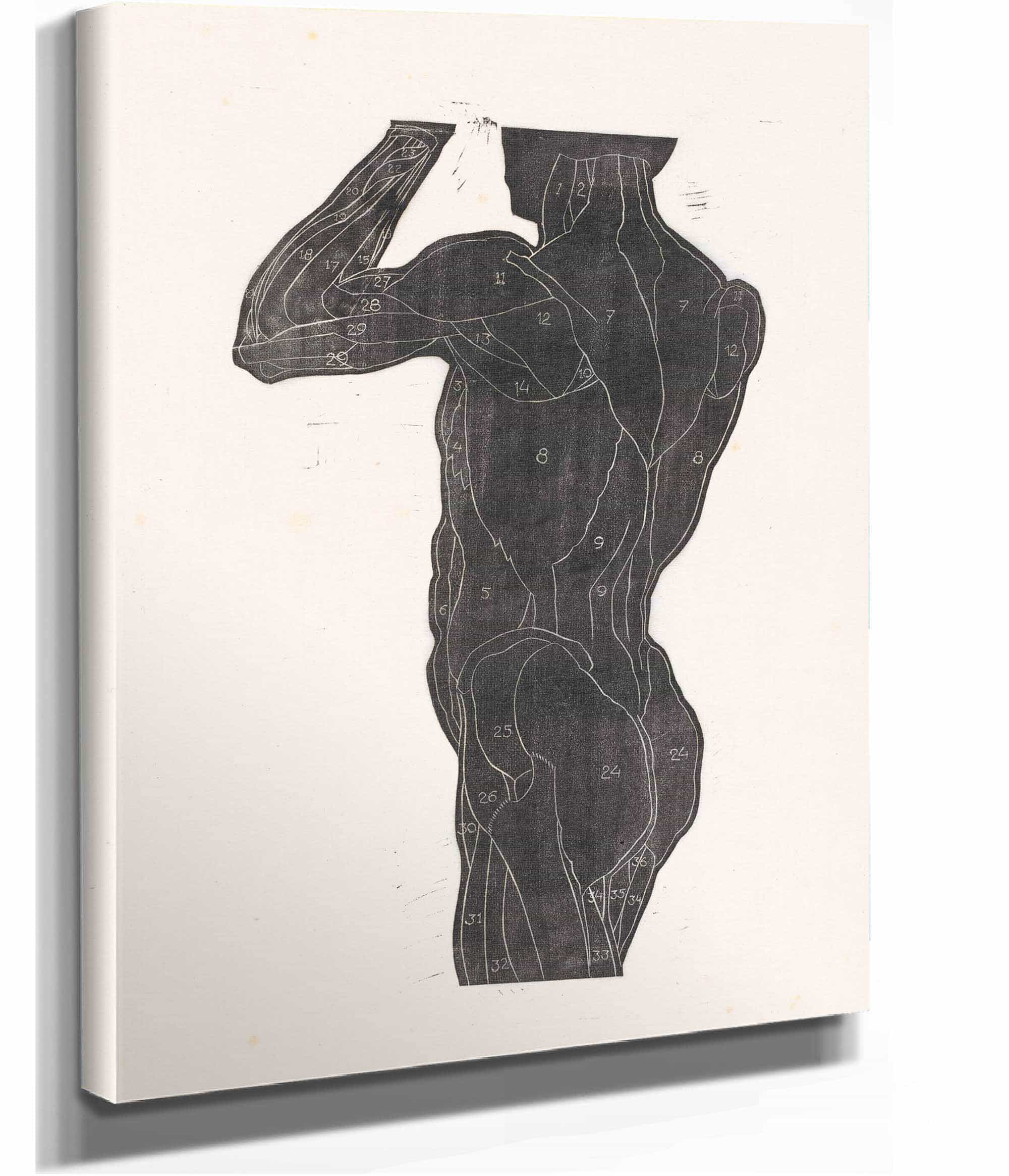 Anatomische Studie Van De Rug En Bilspieren Van Een Man In Silhouet by Reijer Stolk