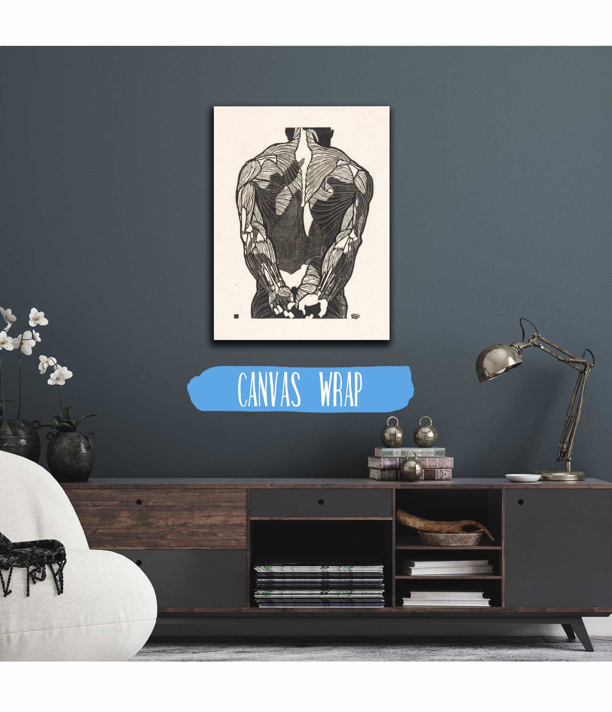 Anatomische Studie Van De Rugspieren Van Een Man by Reijer Stolk