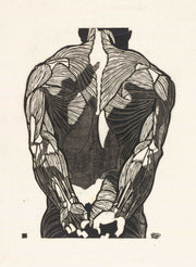 Anatomische Studie Van De Rugspieren Van Een Man by Reijer Stolk