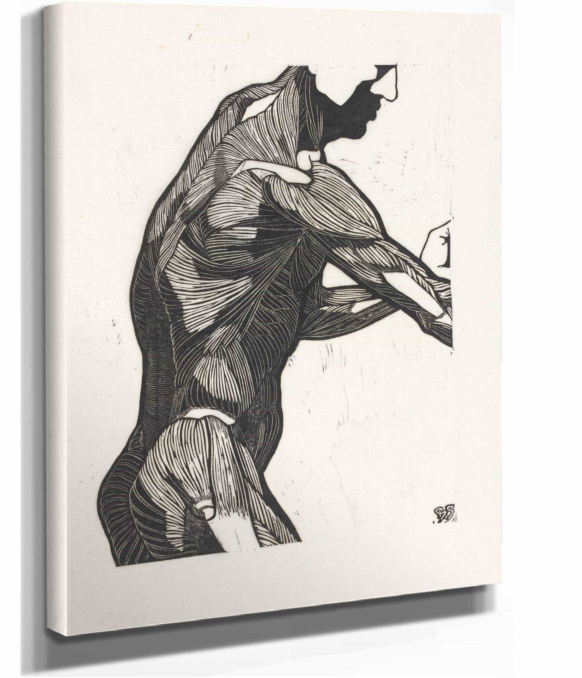 Anatomische Studie Van De Zij En Armspieren Van Een Man by Reijer Stolk