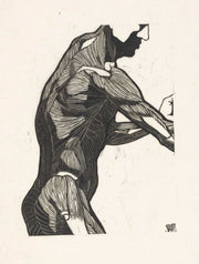 Anatomische Studie Van De Zij En Armspieren Van Een Man by Reijer Stolk