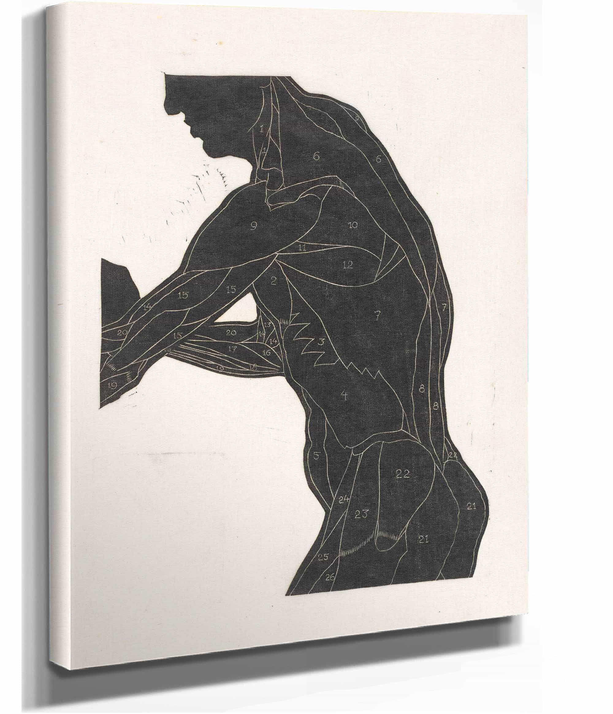 Anatomische Studie Van De Zij En Armspieren Van Een Man In Silhouet by Reijer Stolk