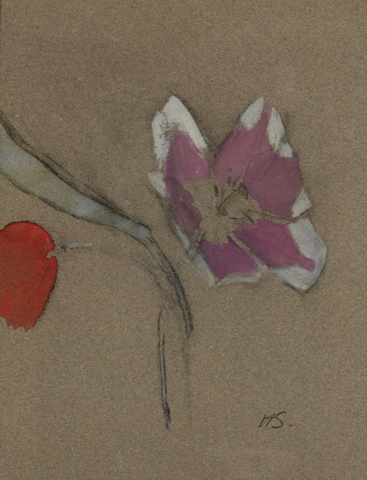 Anemone by Helene Schjerfbeck